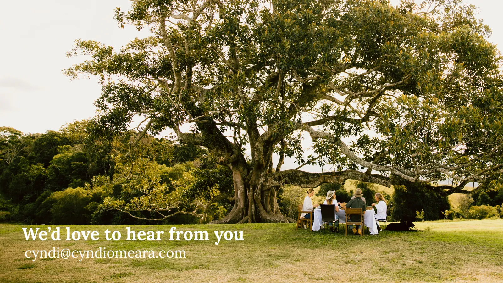Friends sharing a long lunch under a huge fig tree on the Changing Habits farm. Text reads: We’d love to hear from you, cyndi@cyndiomeara.com